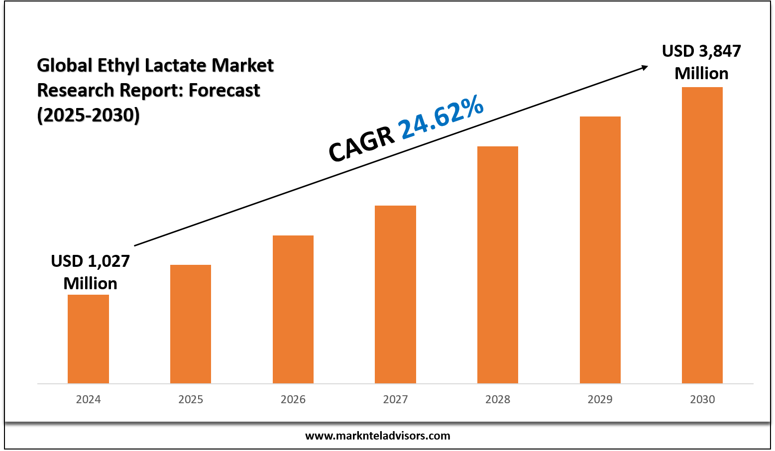 Global Ethyl Lactate Market Size and Forecast by Application & Region