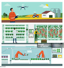 IoT in Agriculture Industry Overview: Size, Value, and Forecast Outlook 2025
