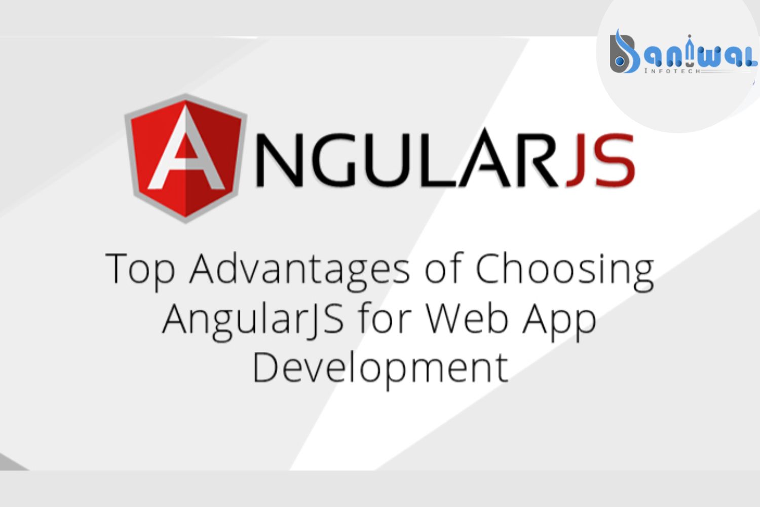 Professional AngularJS Development Services - Get Quality Results Now!