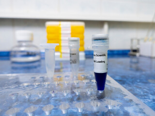 Electrophoresis Reagents Industry Analysis, Size, Share, Trends, Growth, And Forecasts For 2023 – 2032