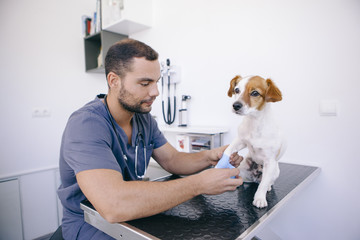 Animal Wound Care Market Size, Trends, And Global Forecast 2023-2032