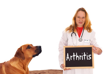 Companion Animal Arthritis Market Size, Market Growth, Scope, And Analysis 2023-2032