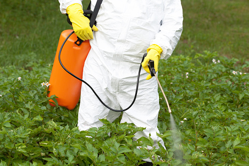 Chemical Fertilizers Global Market Report 2023 – Market Size, Trends, And Global Forecast 2023-2032