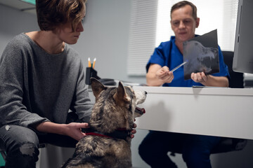Veterinary Oncology Market Size, Share, Growth, Trends, Industry Report And Forecast Till 2032