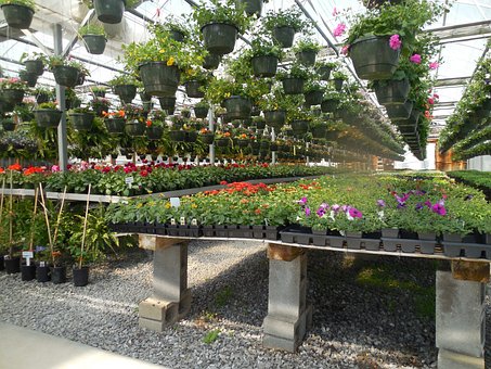 Greenhouse, Nursery, And Flowers Industry Analysis, Size, Share, Trends, Growth, And Forecasts For 2023 – 2032