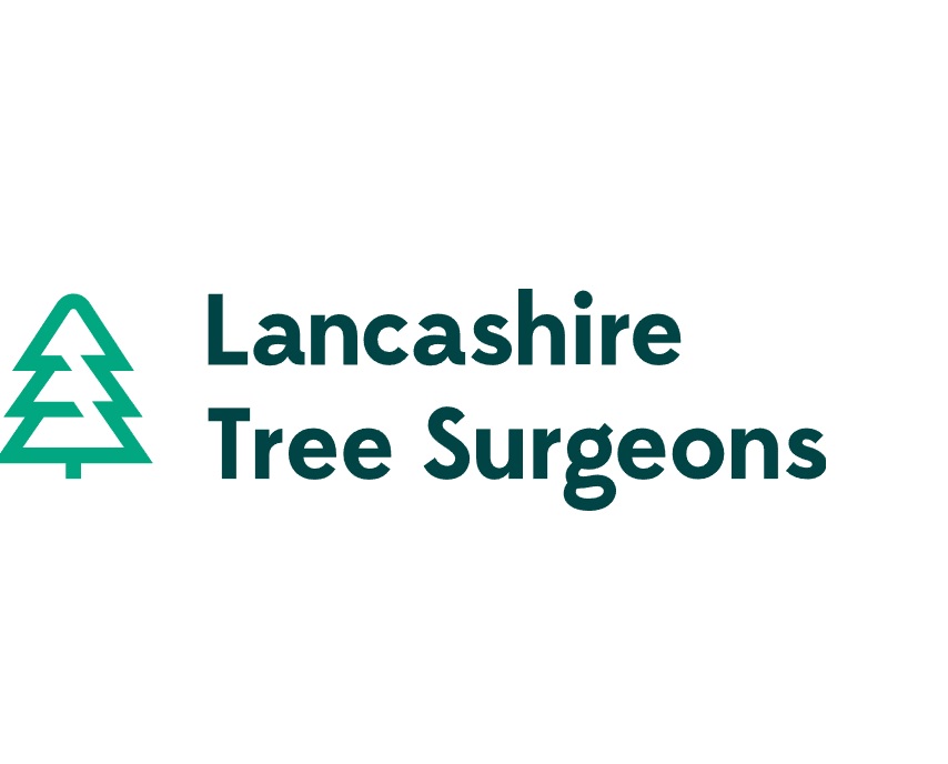 Benefits of Hiring Tree Services