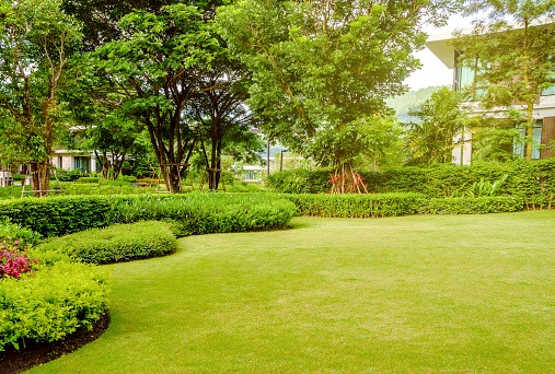 Elevating Your Outdoor Environment