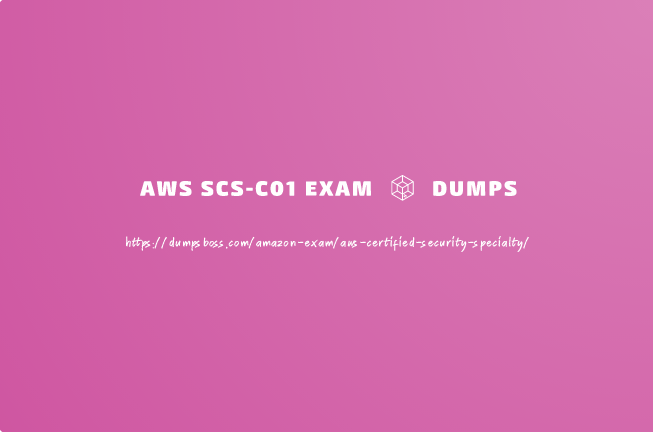 Specialty Exam Questions in SCS-C01 Dumps 