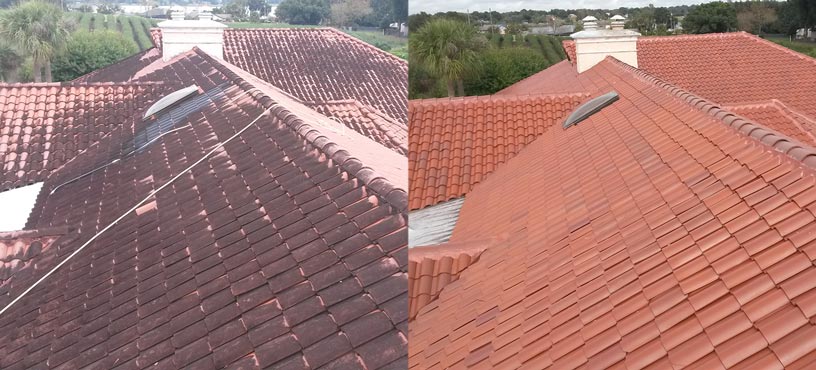 Tile Roof Cleaning Seattle, WA