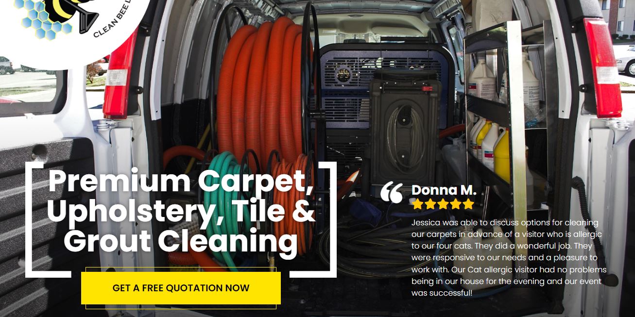 Which Type of Carpet Cleaning Is Best? Carpet Cleaning Services