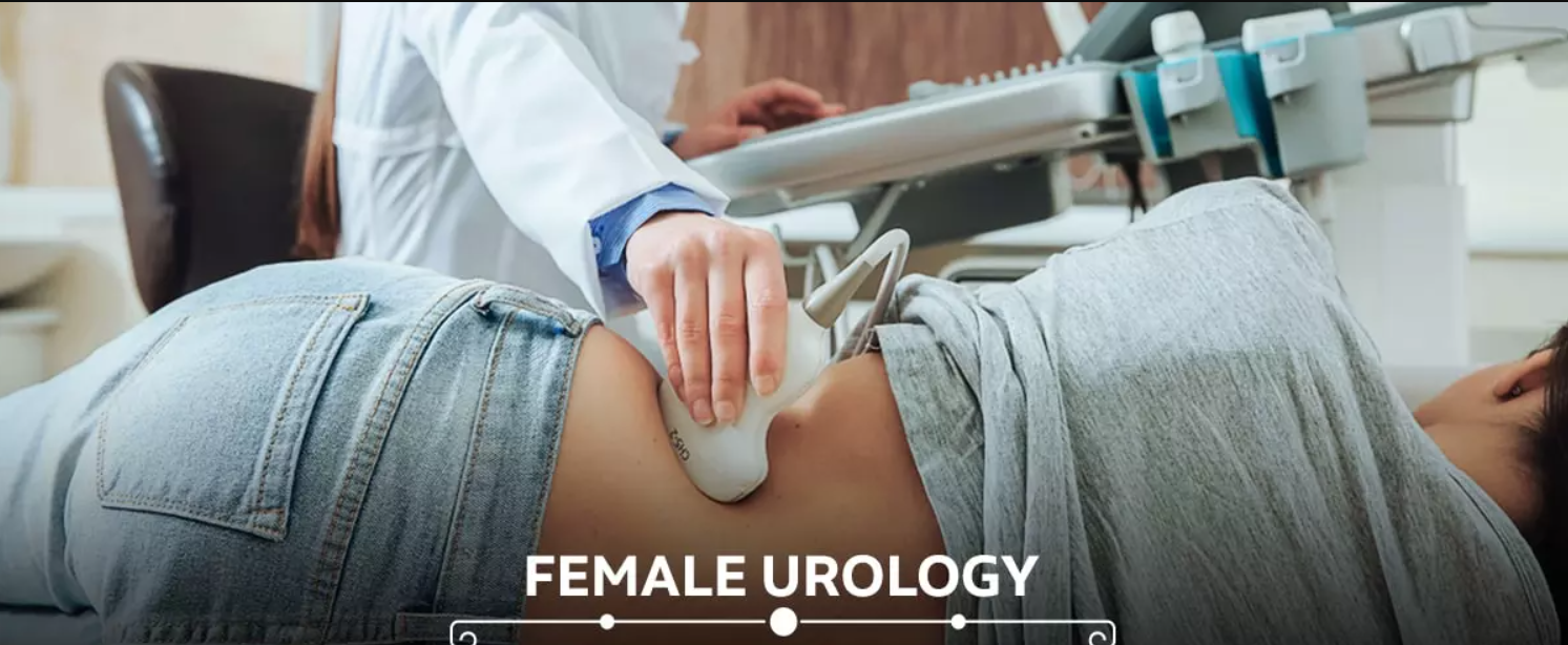  What is female urology?