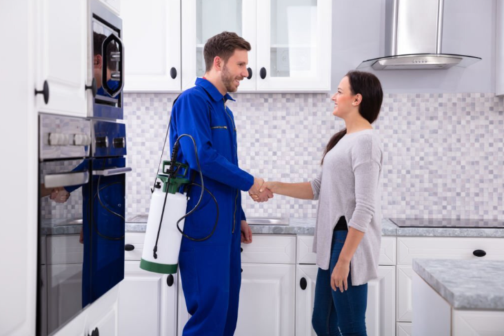 Routine Upholstery Cleaning Keeps Your Furniture Looking And Smelling Great