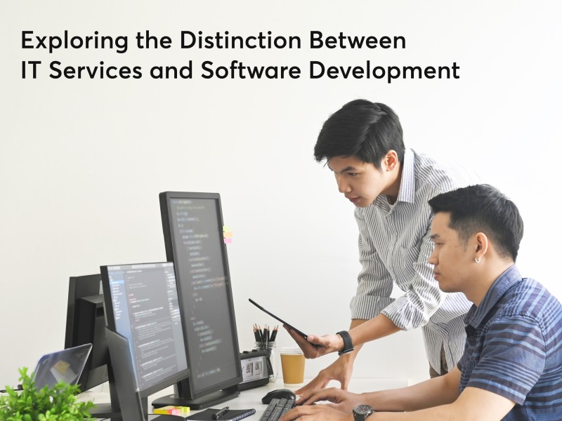 Exploring the Distinction Between IT Services and Software Development