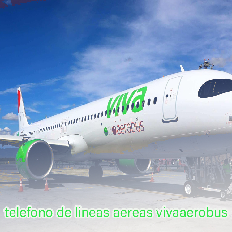 How Can One Speak To A Live Person At Vivaaerobus?