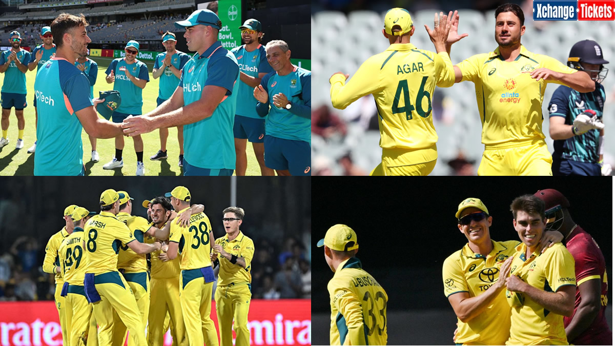 Australia Vs Scotland: Stoinis and Agar Stripped of Australia Contracts