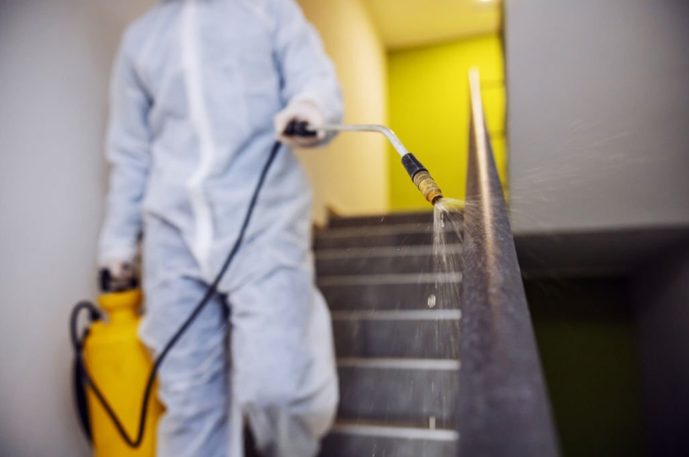 Say Goodbye to Pests: The Top Effective Pest Control Methods for a Pest-Free Home