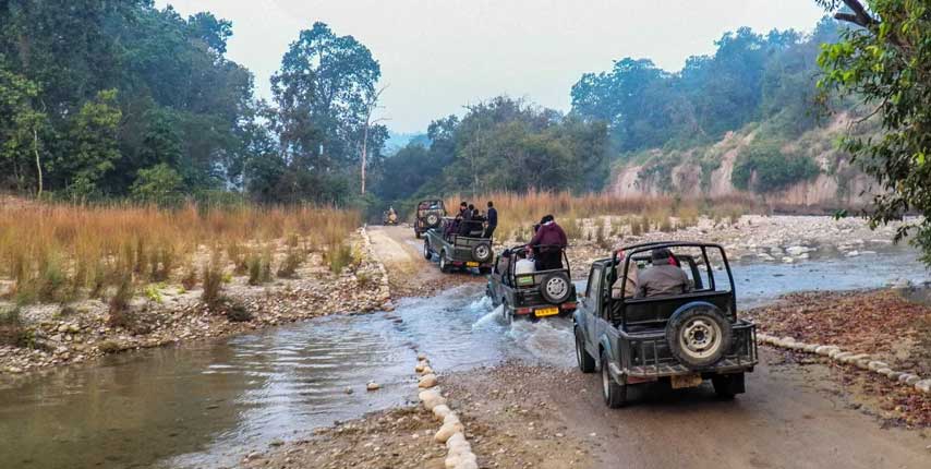 How to Plan a 3-Day Trip to Jim Corbett National Park From Delh