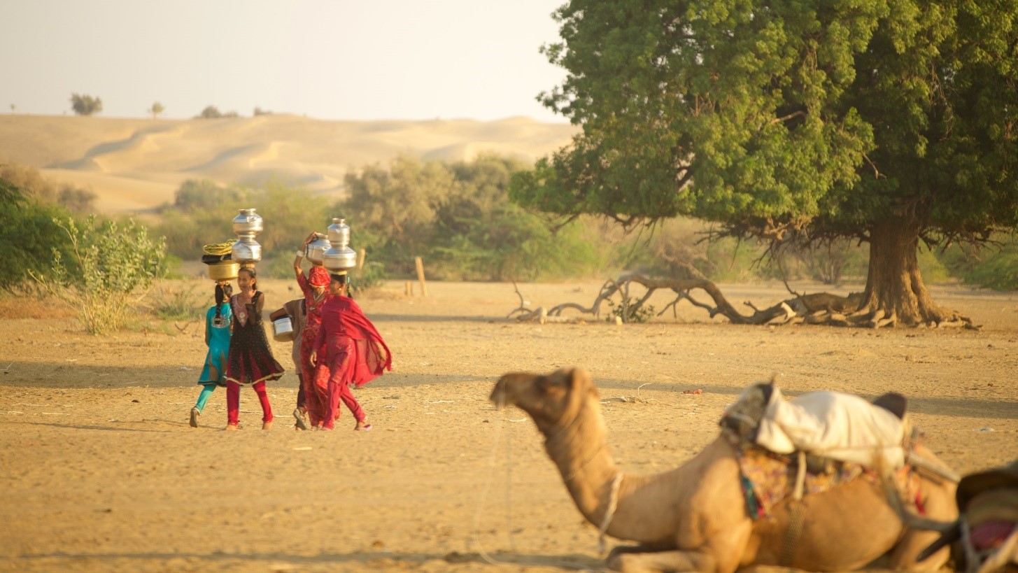 Essential Planning Tips for an Unforgettable Rajasthan Tour Experience