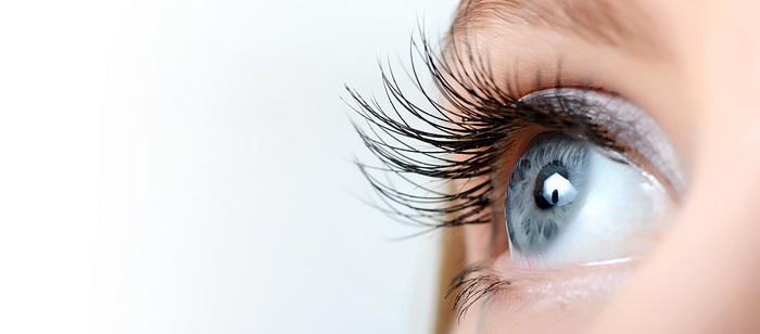 Upgrade Silk Eyelashes
