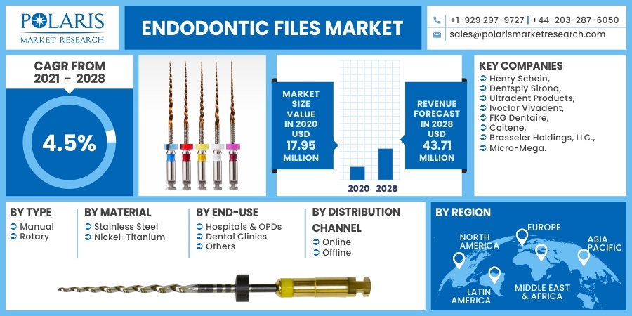 Endodontic Files Market Share, Statistical Overview, Top Key Players and 2032 Forecast