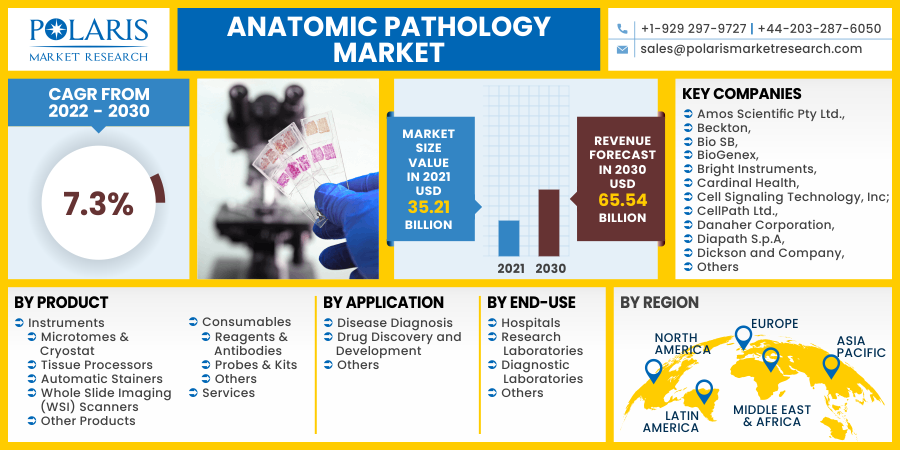 Anatomic Pathology Market Segments, Share, Key Players and COVID-19 Analysis