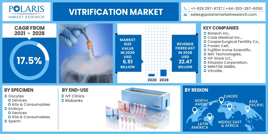 Vitrification Market Industry Size, Trends, Key Players Analysis and Forecast 2032