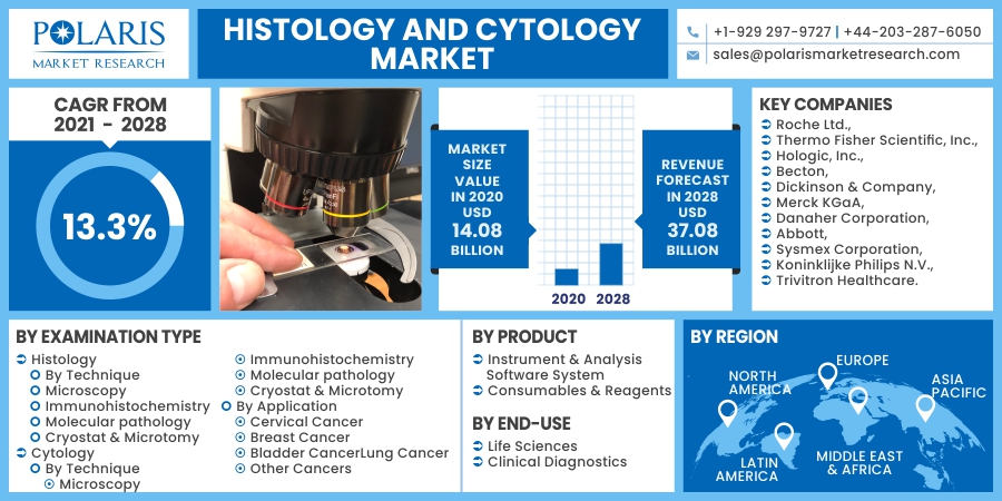 Histology and Cytology Market Scope 2023 Market Analysis, Investment Feasibility and Forecast To 2032