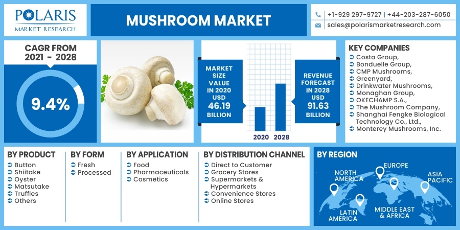 Mushroom Market Share, Size, Industry Analysis by Geographical Regions and Forecast 2023 to 2032