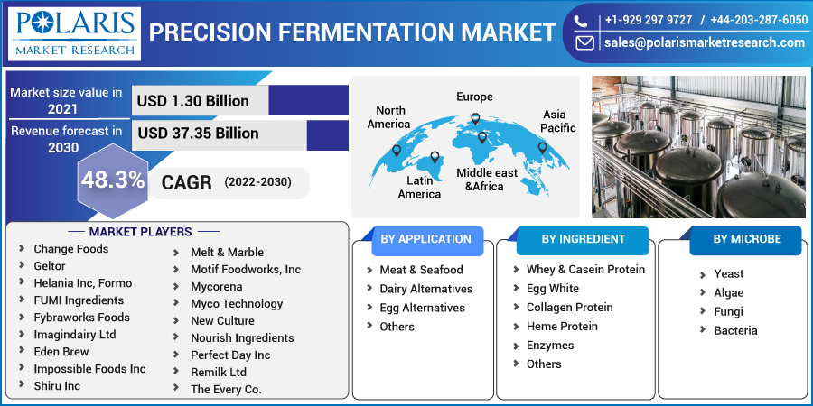 Precision Fermentation Market Business Challenges, Opportunities, Growth Factor and Forecast to 2032