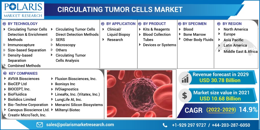 Circulating Tumor Cells Market Insight 2023 Historical Analysis and  Forecast 2023-2032