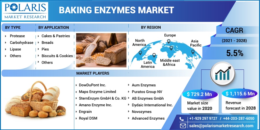 Baking Enzymes Market Future Outlook, Technological Innovation and  Forecast - 2032