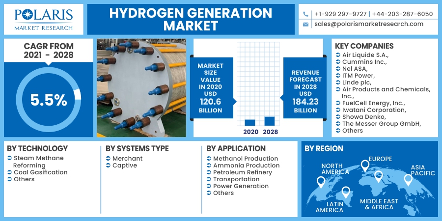  Hydrogen Generation Market Future Demands, Business Challenges and Application