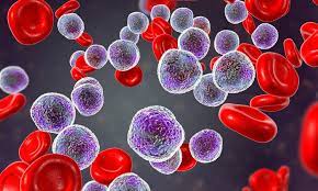 Leukemia Therapeutics Market Structure, Industry Development, Demographics Till 2032