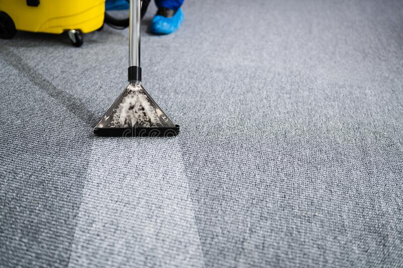The Ultimate Guide to Pest Control in Melbourne: How to Keep Your Home Critter-Free