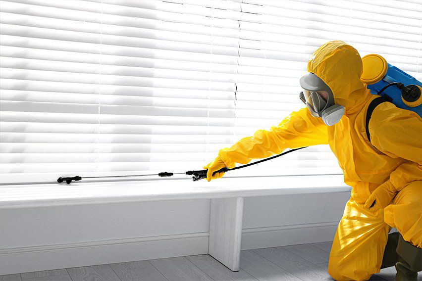 Is it worth paying for pest control Craigieburn services?