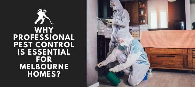 Why Professional Pest Control is Essential for Melbourne Homes: Protecting Your Property and Family