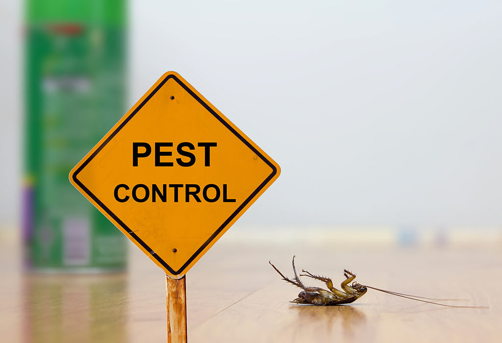 10 Effective Pest Control Tips to Keep Your Preston Home Bug-Free!