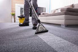 Why Hiring Professional Carpet Cleaners in Sydney is Worth Every Penny