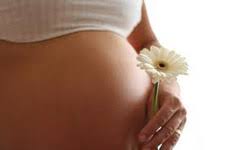 Acupuncture Denver: Acupuncture & Oriental Medicine | Yan Ji