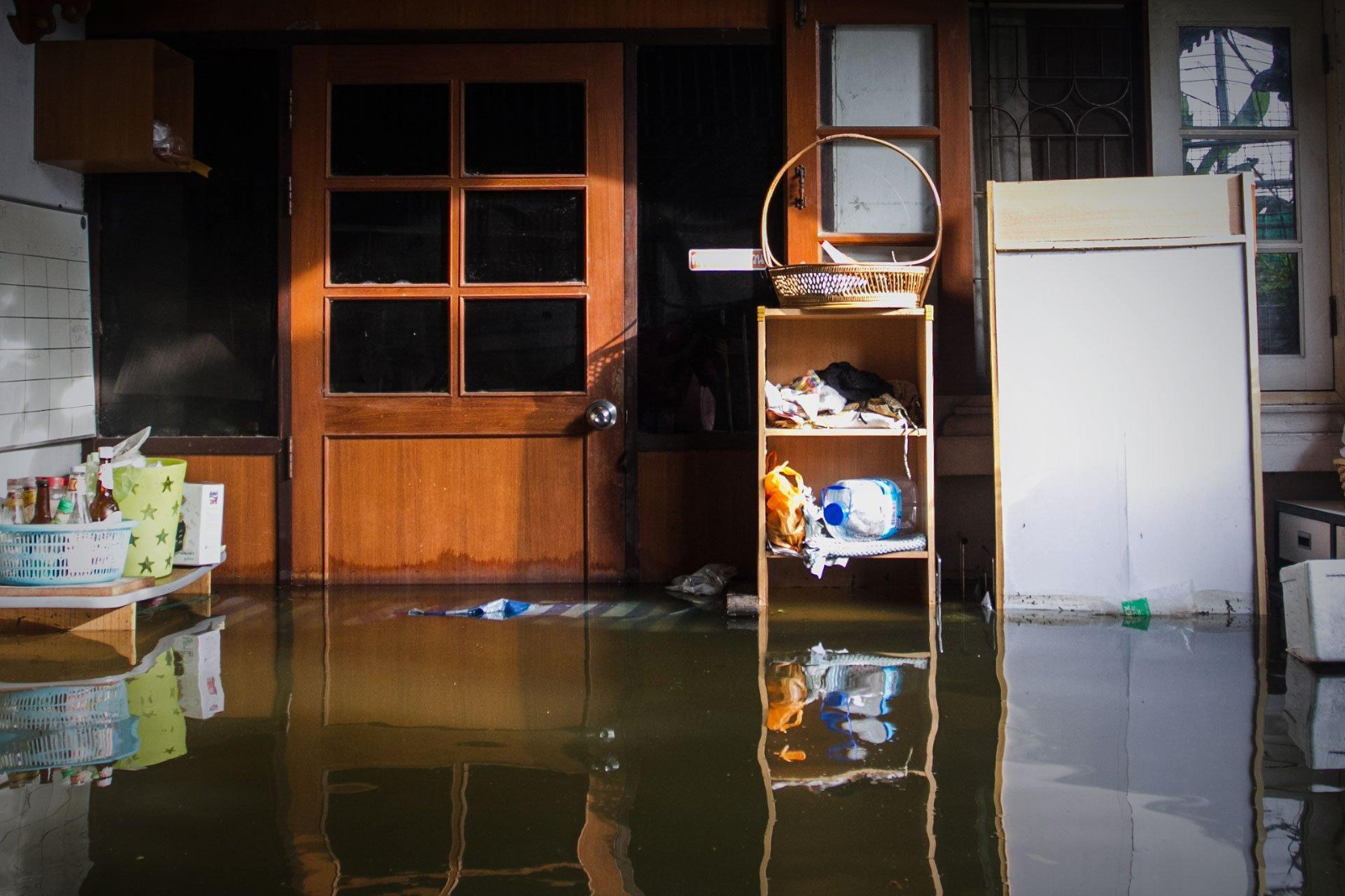 Find a Reputable Disaster Cleanup Service