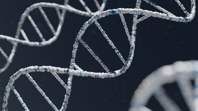 Myotubular Myopathy Treatment Market Size, Share by 2028