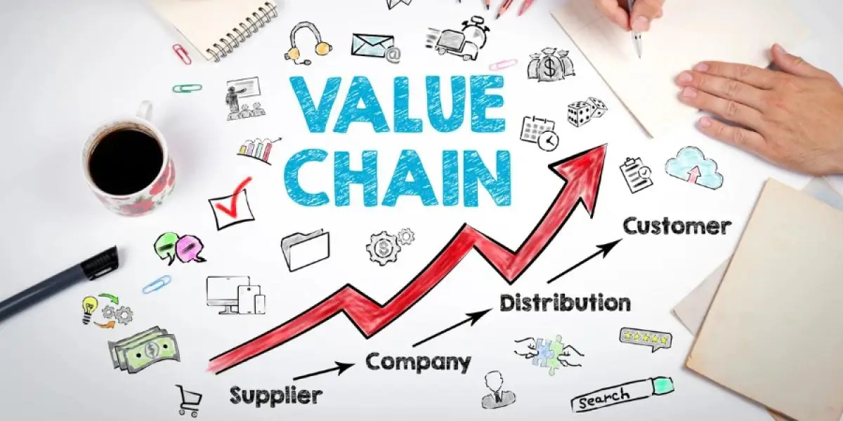 Comprehensive Distribution and Value Chain Analysis