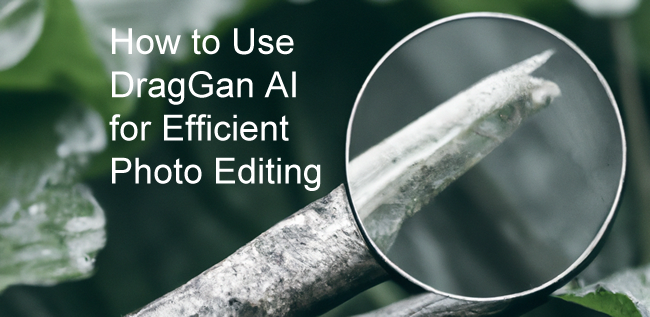 How to Use DragGAN AI for Efficient Photo Editing