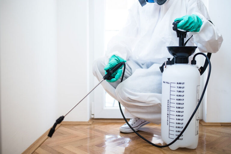 The Best Way To Get Rid Of Cockroaches From Your Home