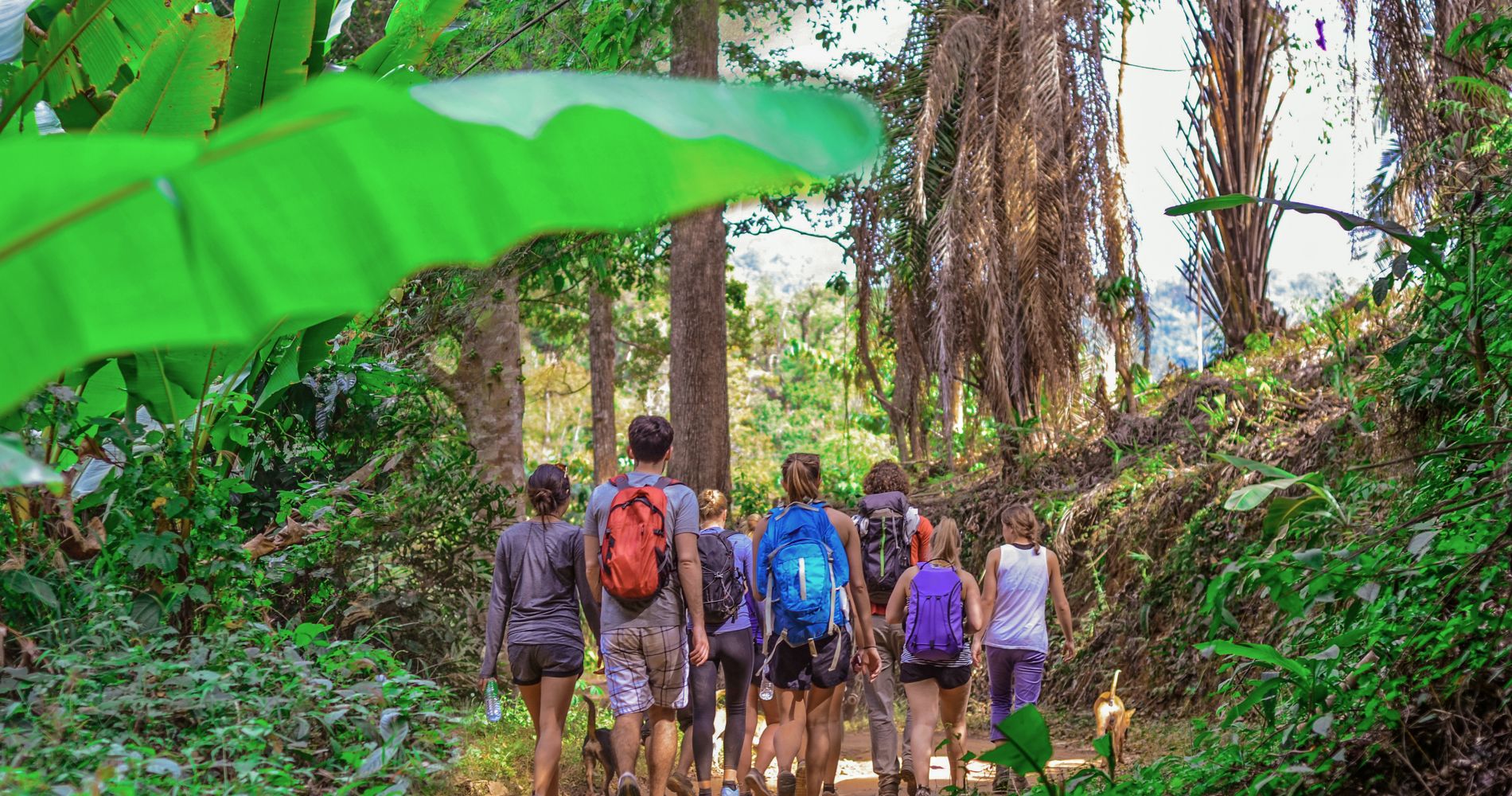 Exploring Canada: Unforgettable Experiences with Guided Tours