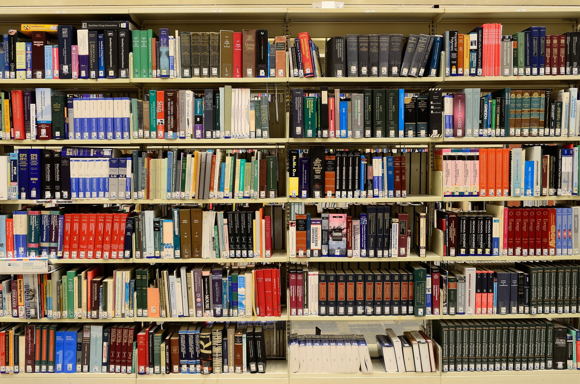 Saving Money and the Planet: The Benefits of Online School Books