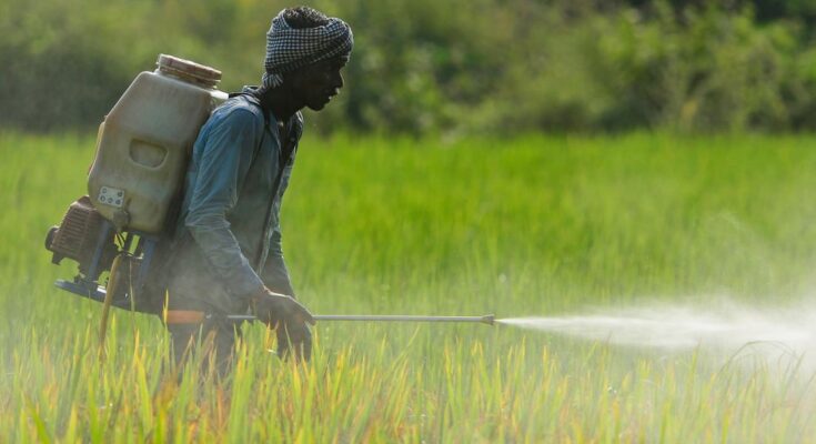 Agrochemicals Market Size, Trends, Key Players, Share and Forecast To 2027