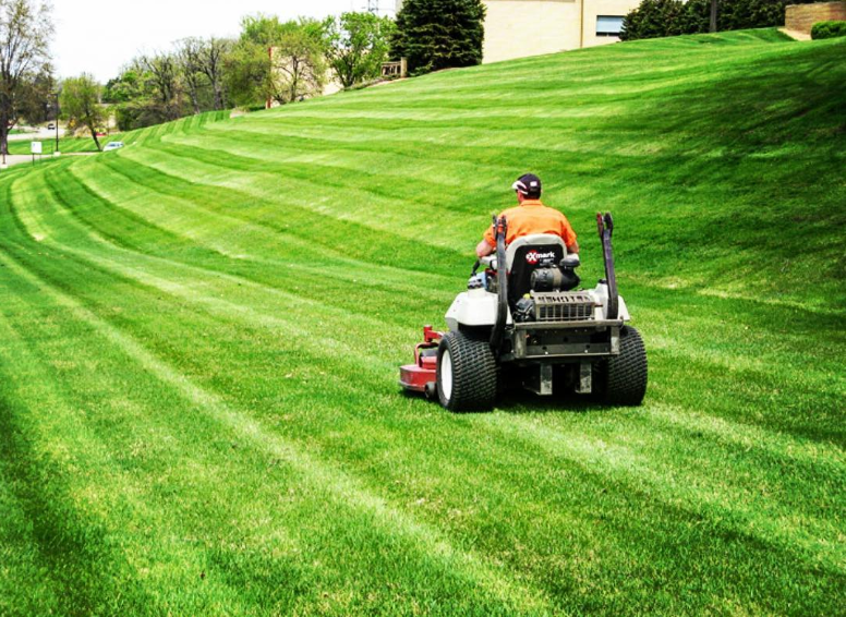 Effective Pest Control for Commercial Lawns: Ensuring Healthy, Lush Green Spaces