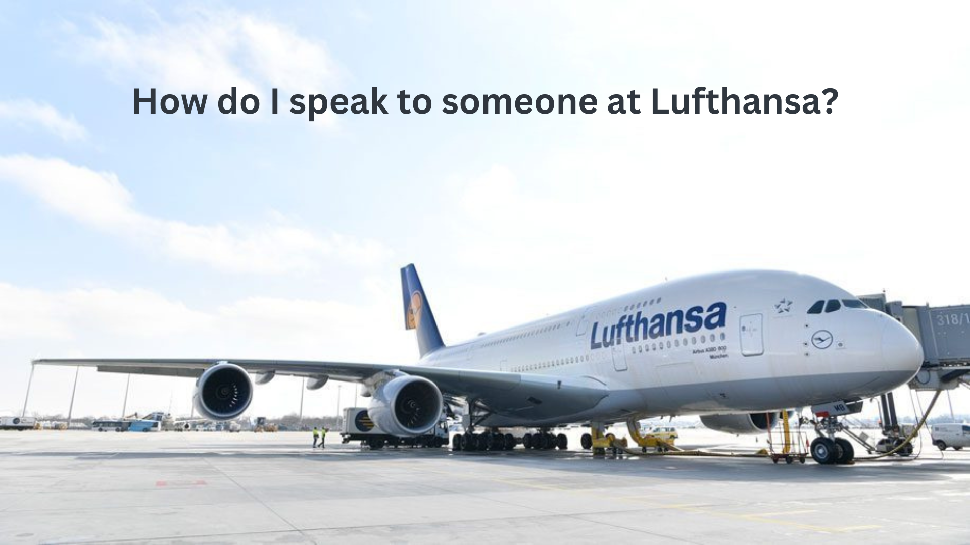 How do I talk to live person at Lufthansa? 