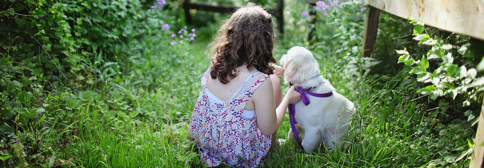Beware: The Garden Danger Lurking in Your Backyard